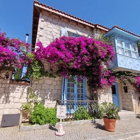 Asma Alacati מלון