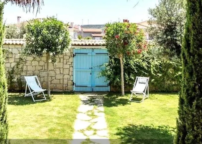 Asma Alacati Çeşme