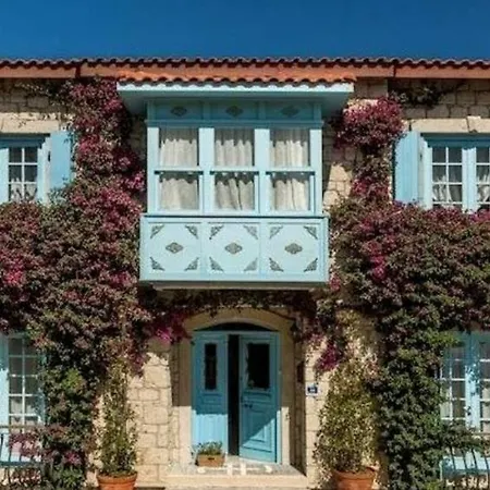Asma Alacati Cesme